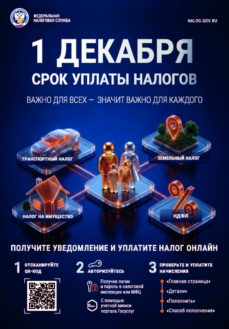 1 декабря срок уплаты налогов 1 декабря срок уплаты налогов