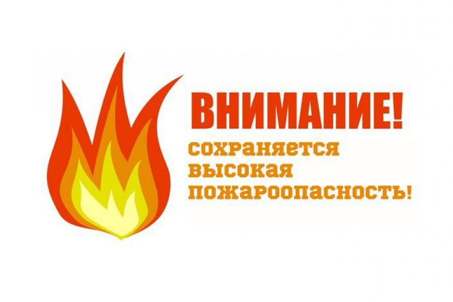 ОПЕРАТИВНЫЙ ЕЖЕДНЕВНЫЙ ПРОГНОЗ возможного возникновения и развития чрезвычайных ситуаций на территории Саратовской области на 17 октября 2026 ОПЕРАТИВНЫЙ ЕЖЕДНЕВНЫЙ ПРОГНОЗ возможного возникновения и развития чрезвычайных ситуаций на территории Саратовской области на 17 октября 2026